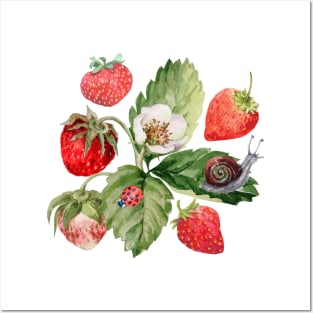 Vintage Strawberry Garden Posters and Art